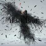 Black Bird专辑