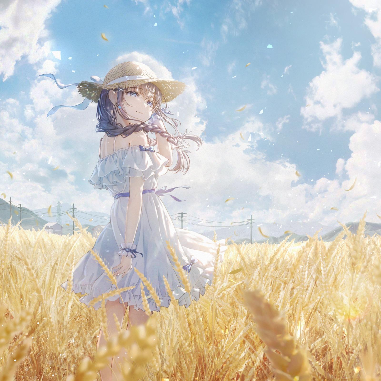 恋、夏めく。