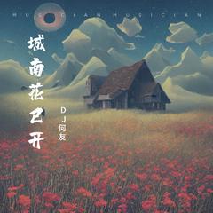 三亩地 - 城南花已开（DJ何友版）