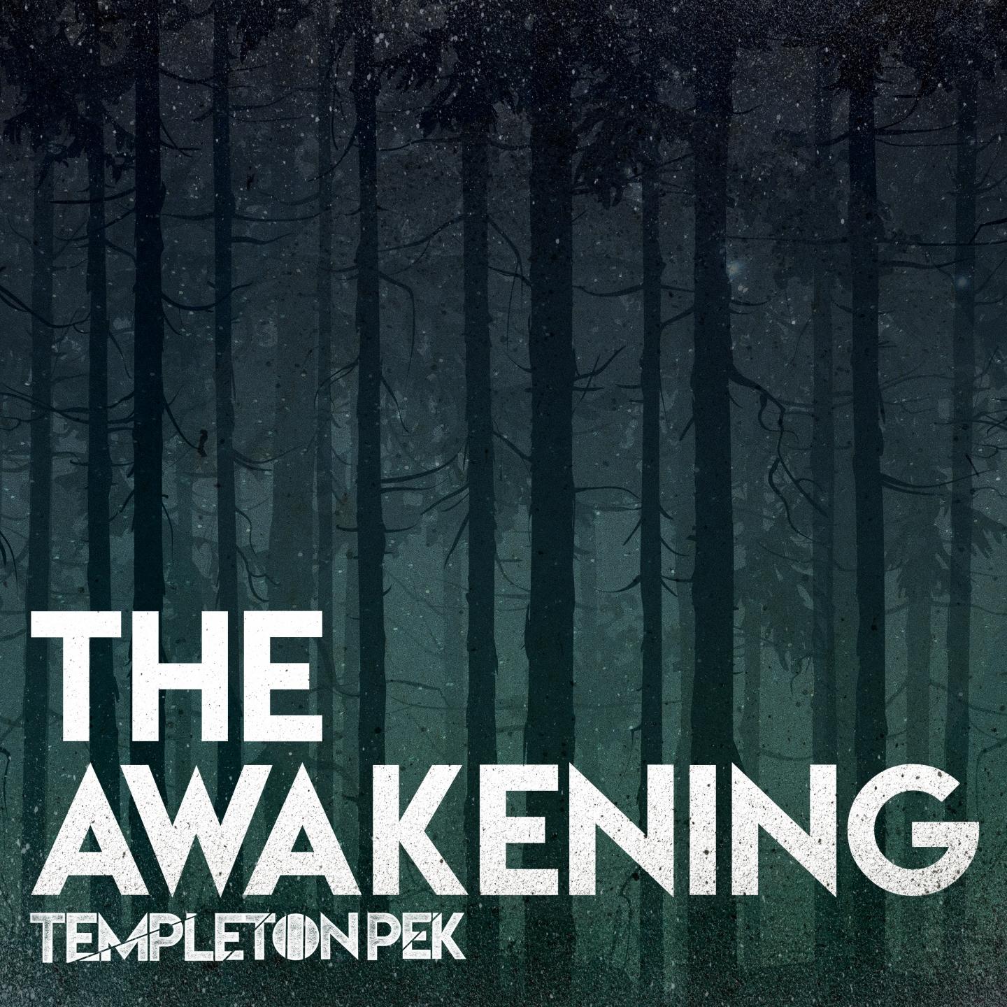 The Awakening