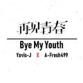再见青春(Bye My Youth)