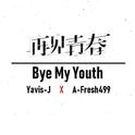 再见青春(Bye My Youth)专辑