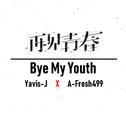 再见青春(Bye My Youth)专辑