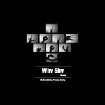 Why Shy Remix专辑