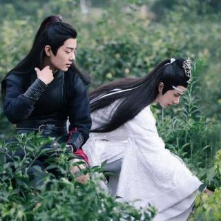 【无羁】【不忘】【曲尽陈情】肖战、王一博