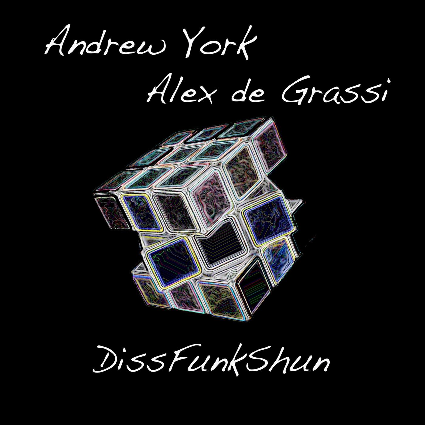 Dissfunkshun