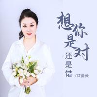 想你是对还是错（和声女伴奏）红蔷薇）