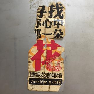 脸司在婕妮花2009-2018