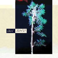 Grow Slowly (某科学的超电磁炮S ED)
