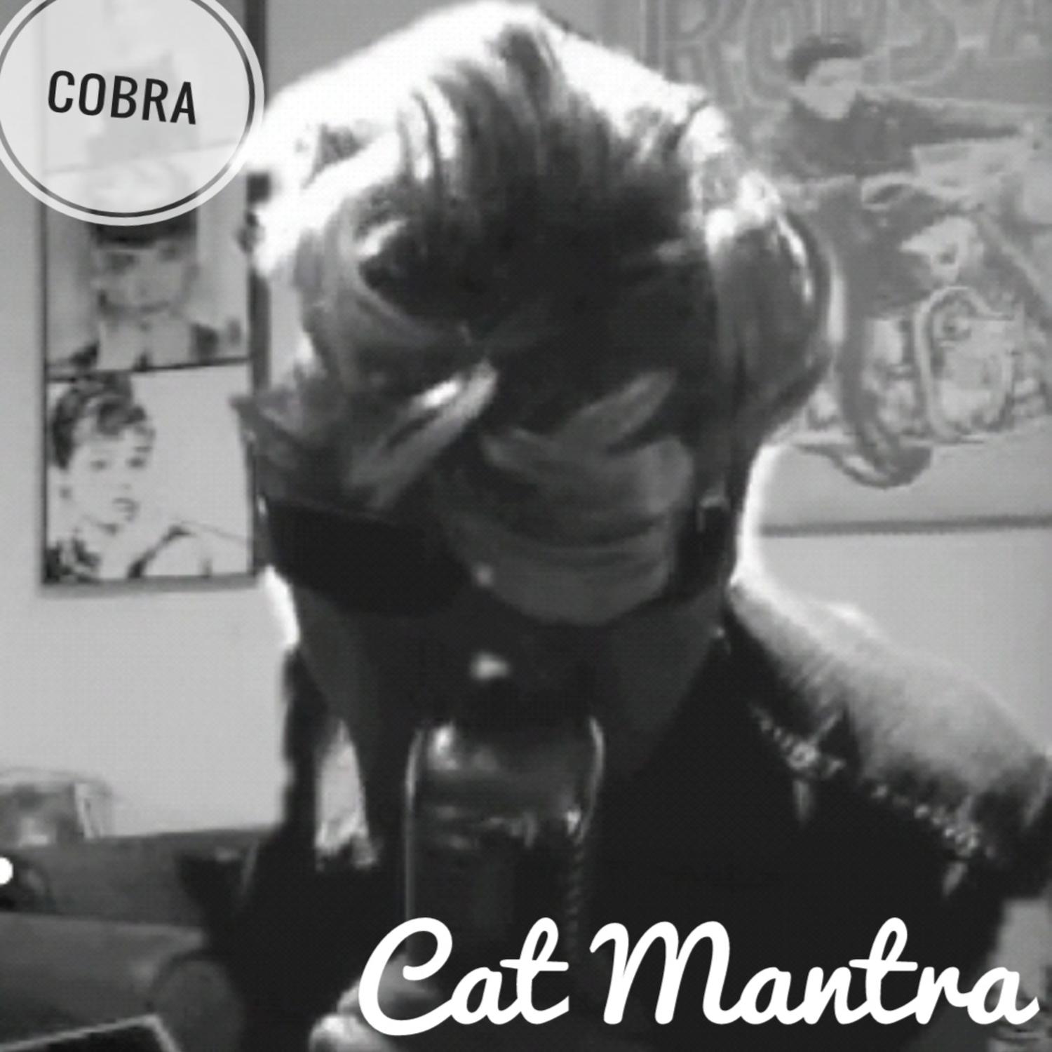 Cat Mantra - Sweet Home Chicago