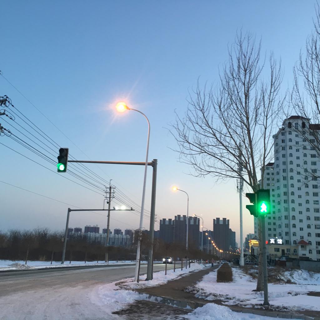 春花 仇兆男 Jam 陈粒 花粥 程璧