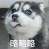 邓紫棋/林俊杰/李荣浩/张杰/毛不易/周深