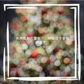 大风在刮大雪在下（别在这个冬把我丢下）