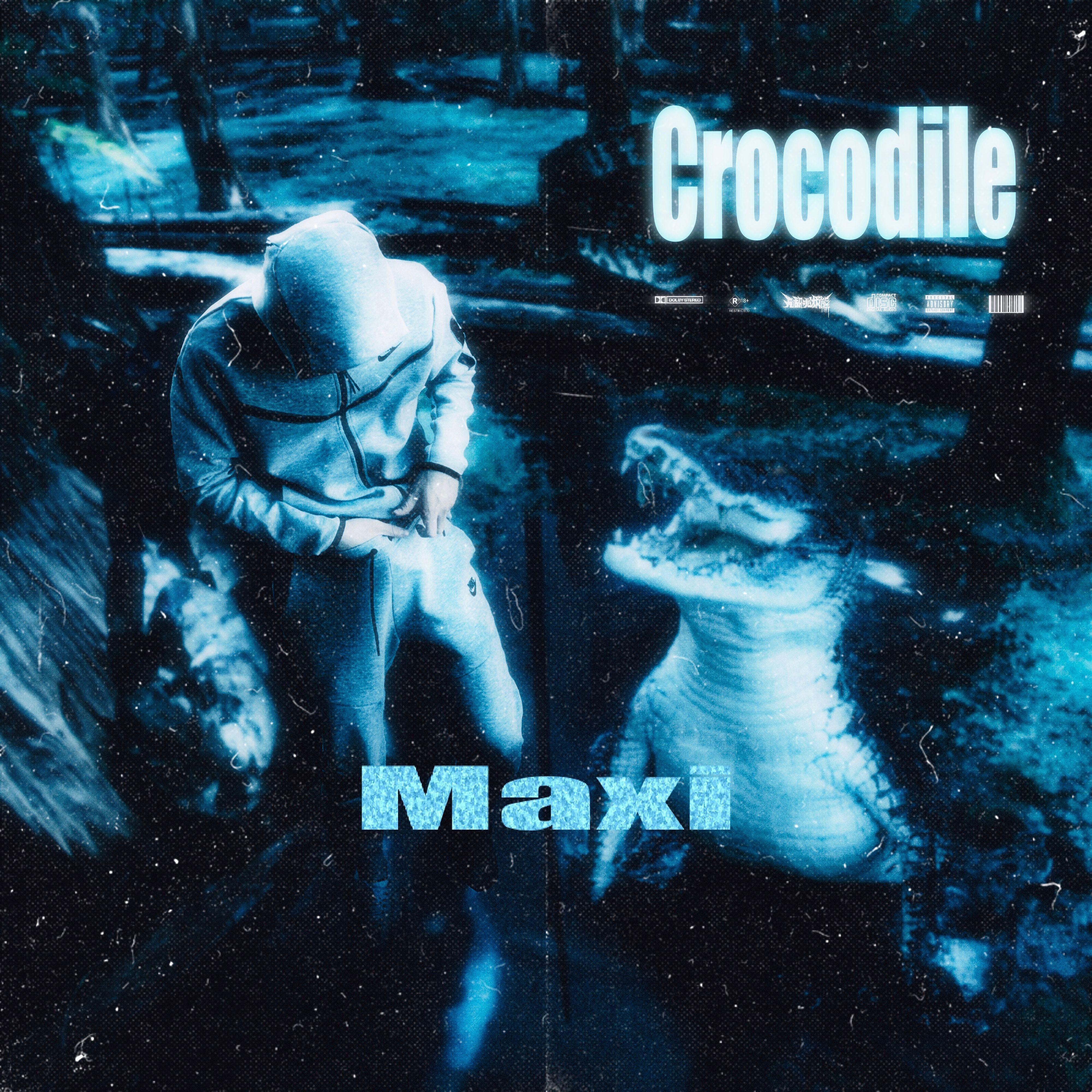 Crocodile 鳄鱼