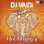 Hot Bhangra专辑