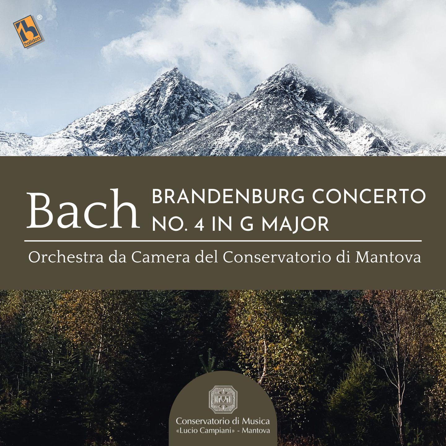 Bach: Brandenburg Concerto No. 4 in G Major, BWV 1049
