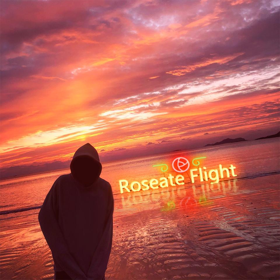 Roseate Flight专辑