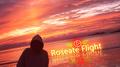 Roseate Flight专辑