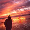 Roseate Flight专辑