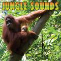 Jungle Sounds