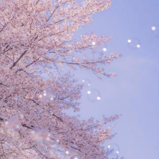 华语流行‖每首歌都是一个故事♫