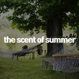 D.BGM #SUMMER