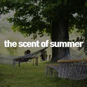 D.BGM #SUMMER
