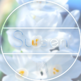 水仙/Suisen