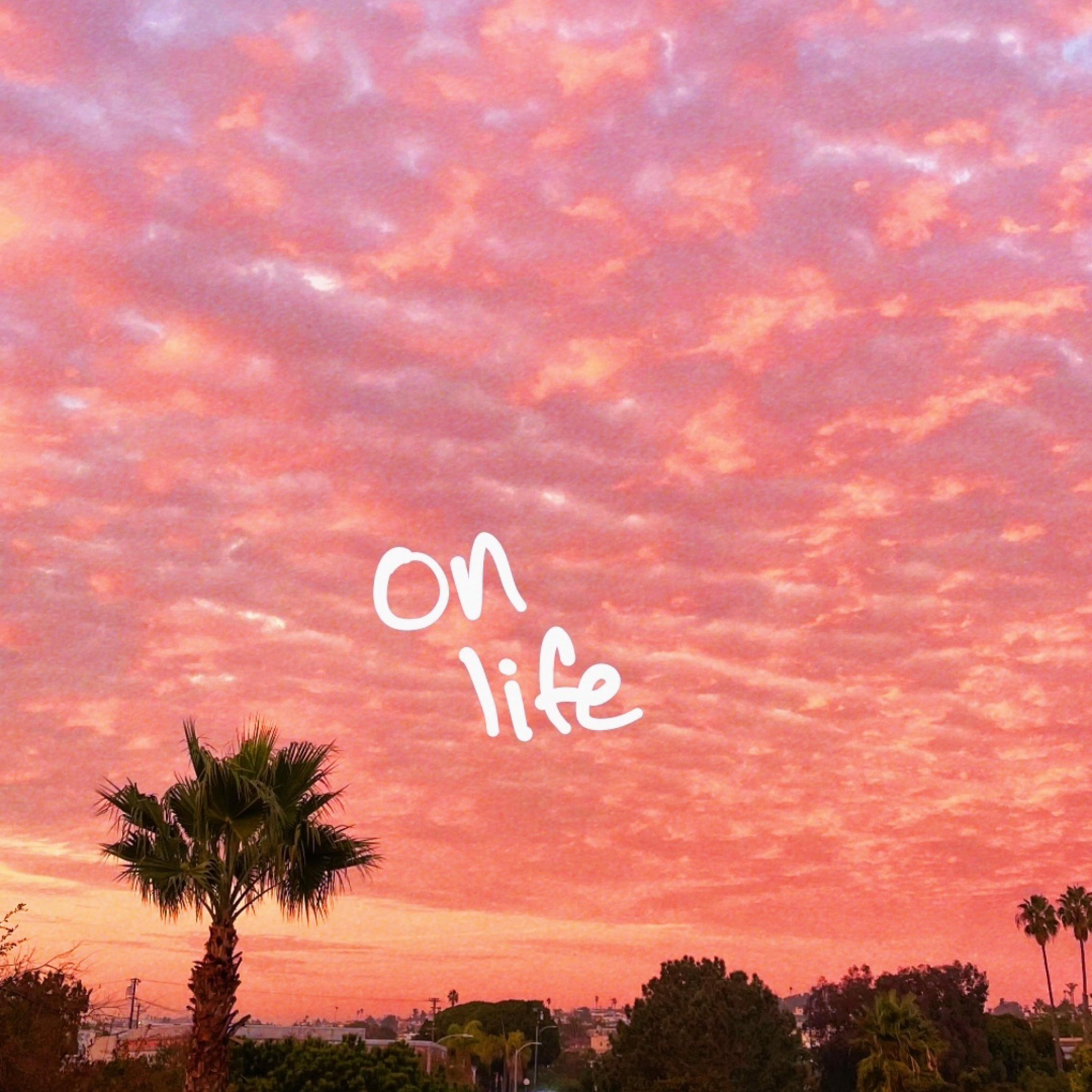 sammy rash - on life