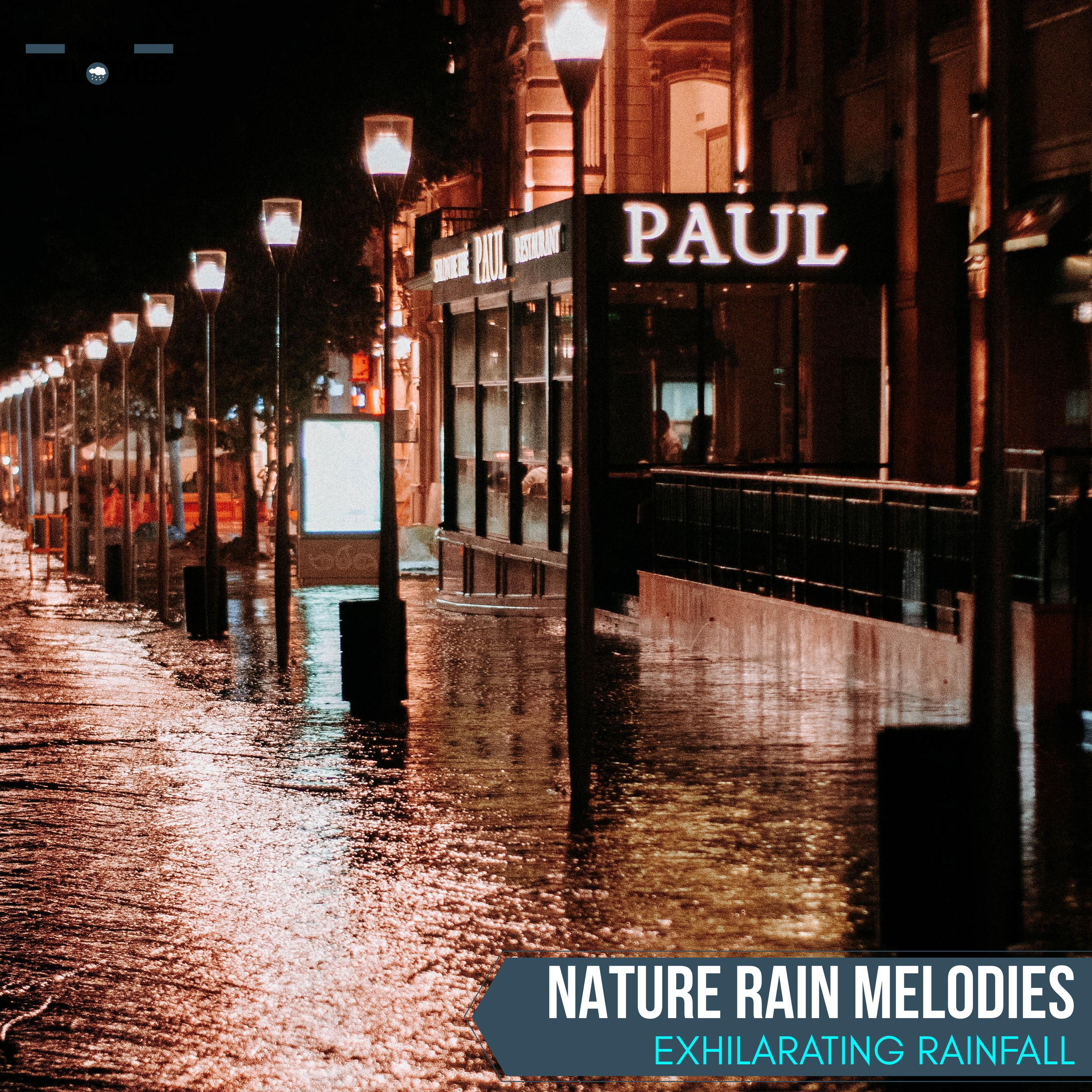 Rain Designed Ambience Nature Sounds - Deep Freezing Rain