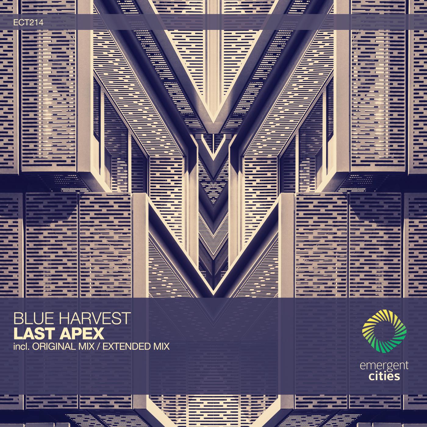 Last Apex
