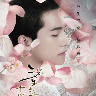 电影三生三世十里桃花配乐