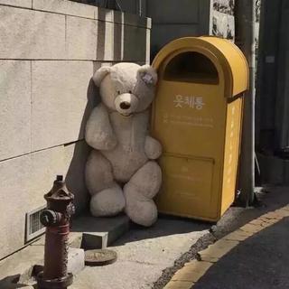 你来时携风带雨，我无处可避