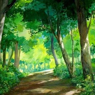 【轻音乐】感受鸟语花香的季节