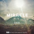 miracle (original mix)