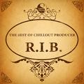 The Best Of Chillout Producer: R.I.B.