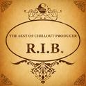 The Best Of Chillout Producer: R.I.B.专辑