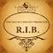 The Best Of Chillout Producer: R.I.B.专辑