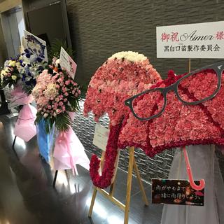 Amazarashi×Aimer亚巡上海站3.3~Aimer部分