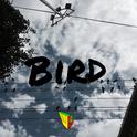 BIRD专辑