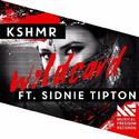 KSHMR,Sidnie- Wildcard(AndyN&FarAty Bootleg)