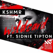 KSHMR,Sidnie- Wildcard(AndyN&FarAty Bootleg)