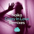Crazy In Love(Remixes)