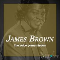 原版伴奏   James Brown - Please Please Please (karaoke)