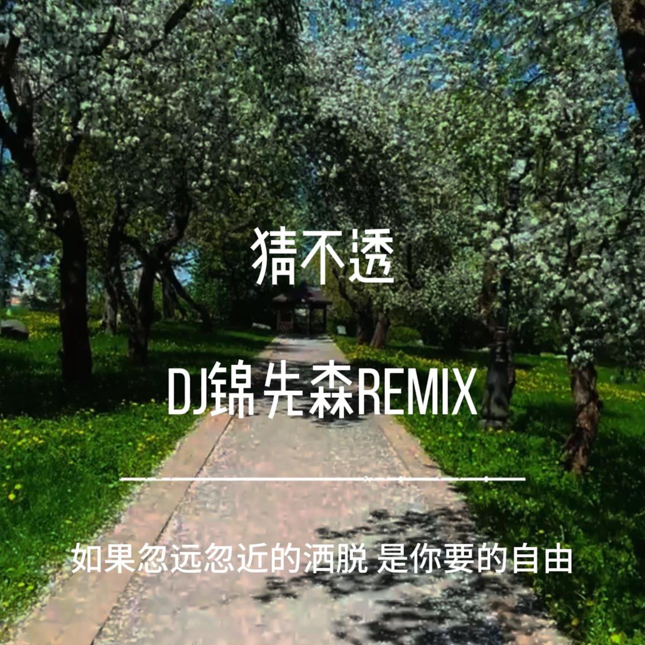 猜不透（说唱版）（DJ锦先森 Remix）