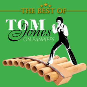 sex bom b- tom jones[男歌手苏荷慢摇伴奏] （升1半音）
