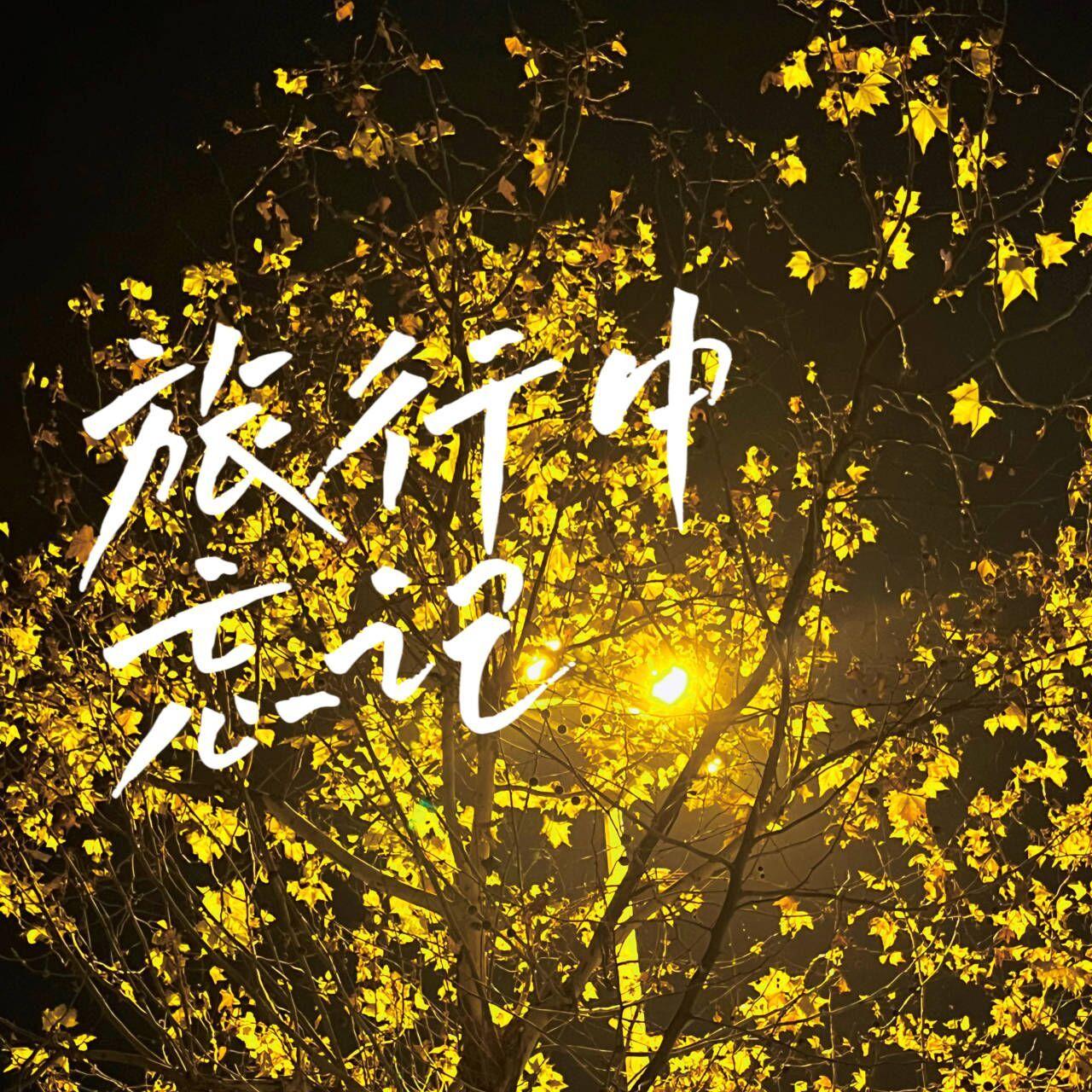 旅行中忘记