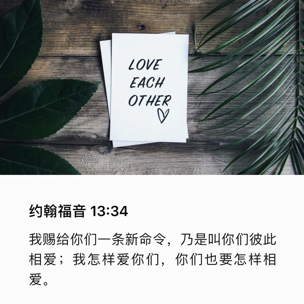 Love Each Other专辑