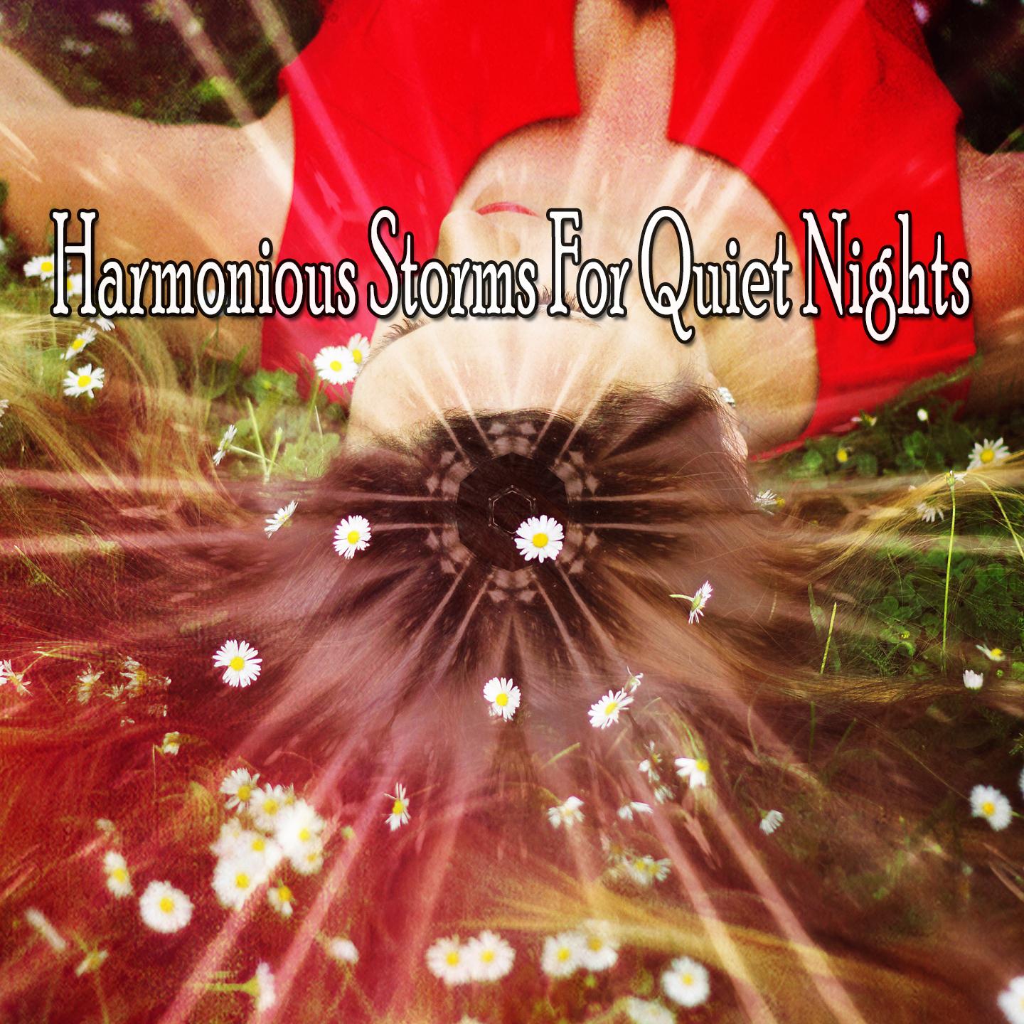 Harmonious Storms For Quiet Nights专辑