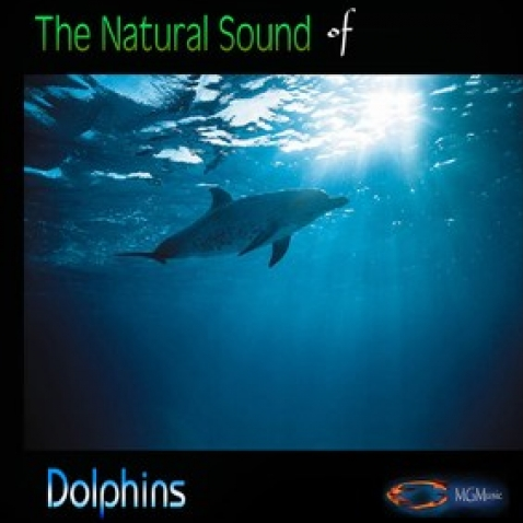 Natural Sound Series - Dolphins专辑